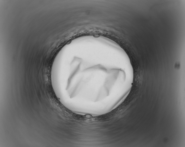 X0000116761490201001071144