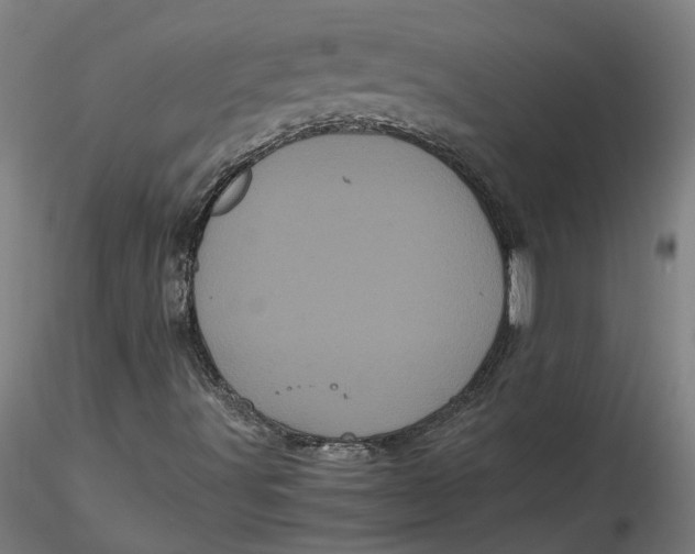 X0000116761491201001071144