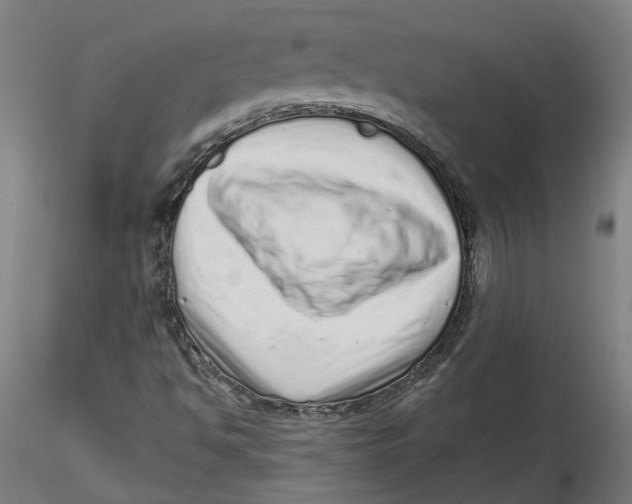 X0000116761494201001071144