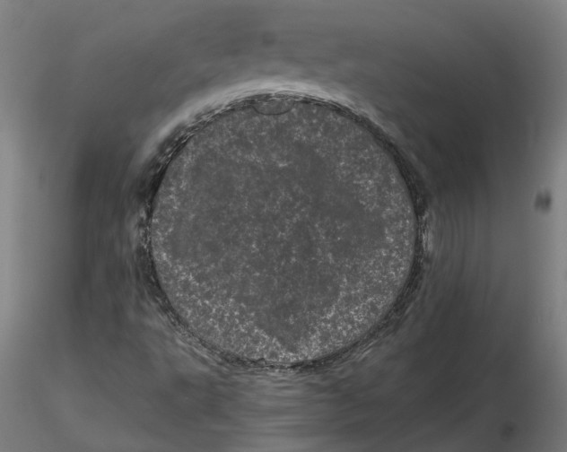 X0000116761495201001071144