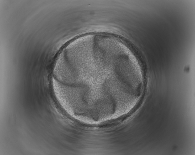 X0000116761497201001071144