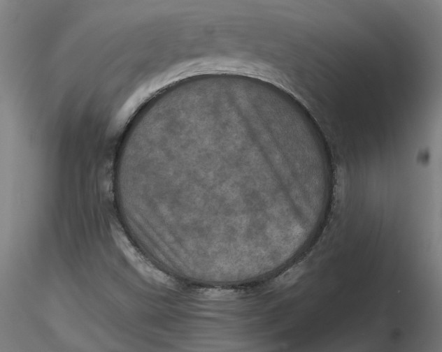 X0000116761499201001071144