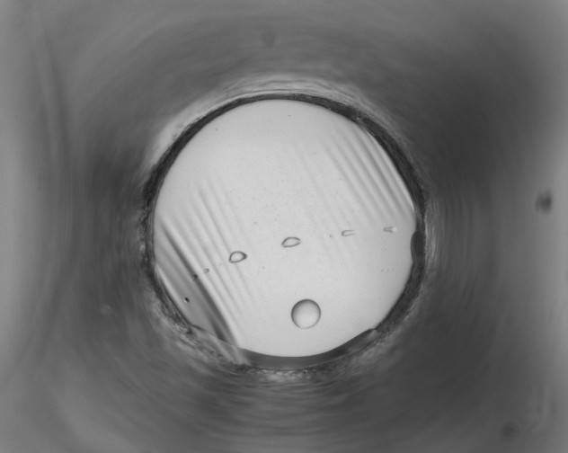 X0000116761501201001071144