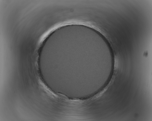 X0000116761502201001071144