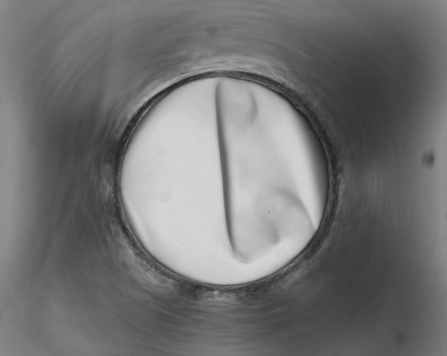 X0000116761505201001071144