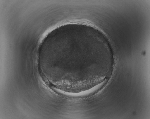 X0000116761506201001071144