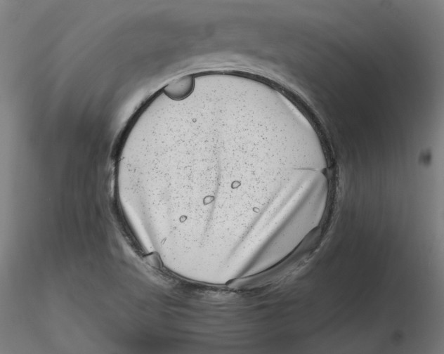 X0000116761509201001071144