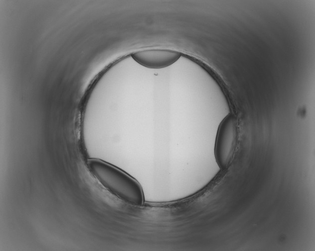 X0000116761510201001071144