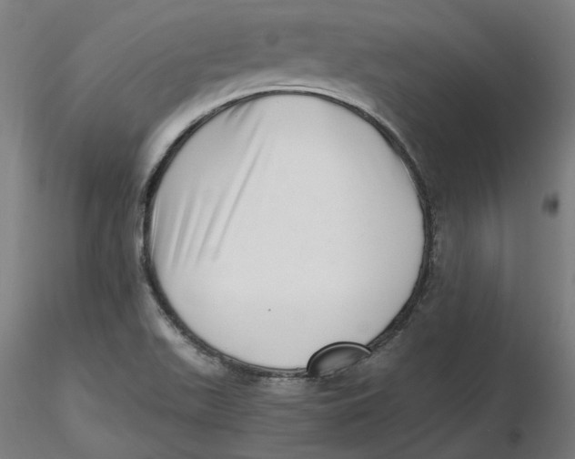 X0000116761511201001071144