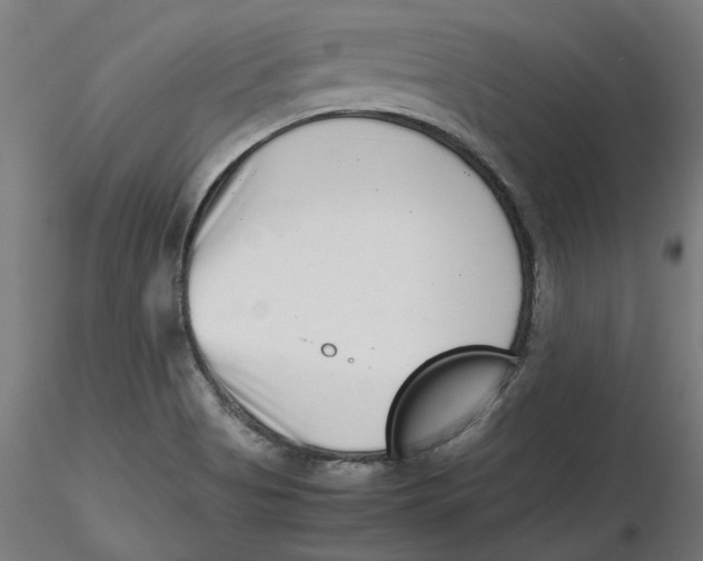 X0000116761513201001071144