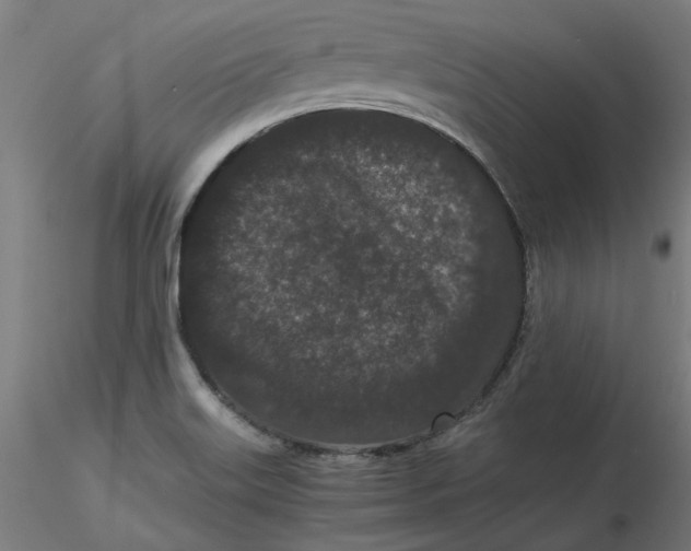 X0000116761515201001071144