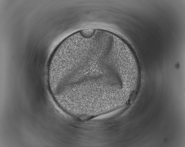 X0000116761517201001071144