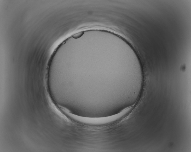 X0000116761518201001071144