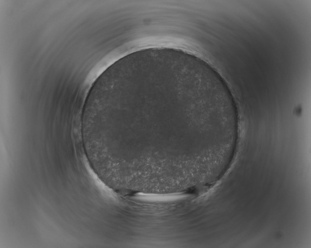 X0000116761521201001071144