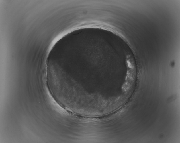 X0000116761522201001071144