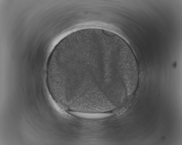 X0000116761523201001071144