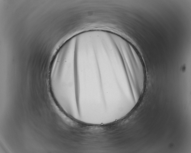 X0000116761525201001071144