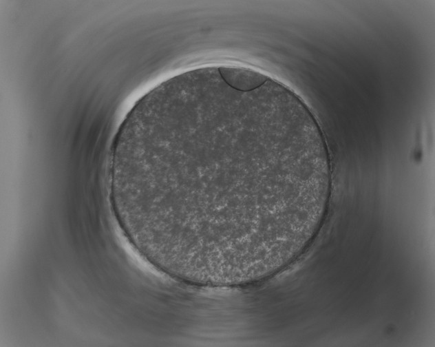 X0000116761526201001071144