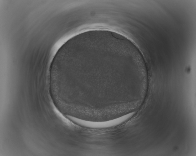 X0000116761527201001071144