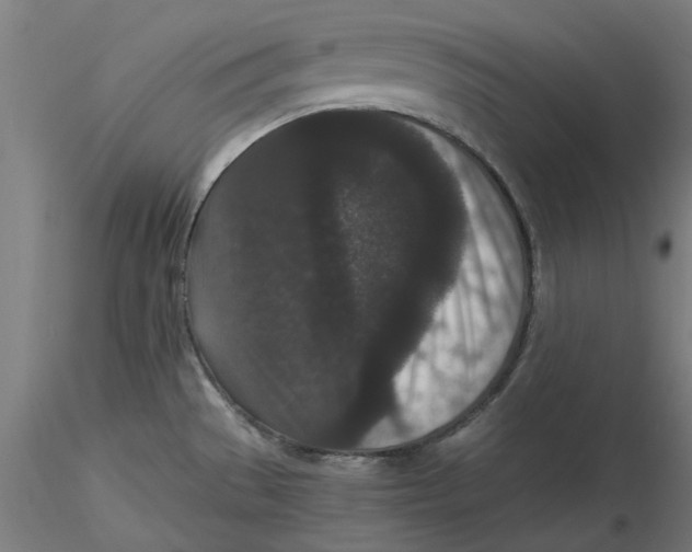 X0000116761529201001071144