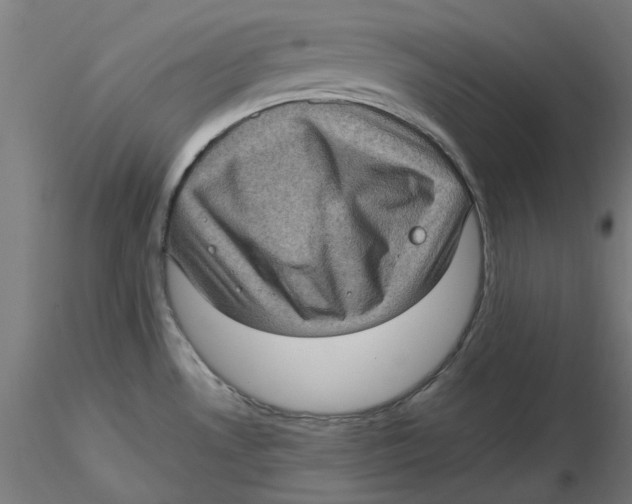 X0000116761530201001071145