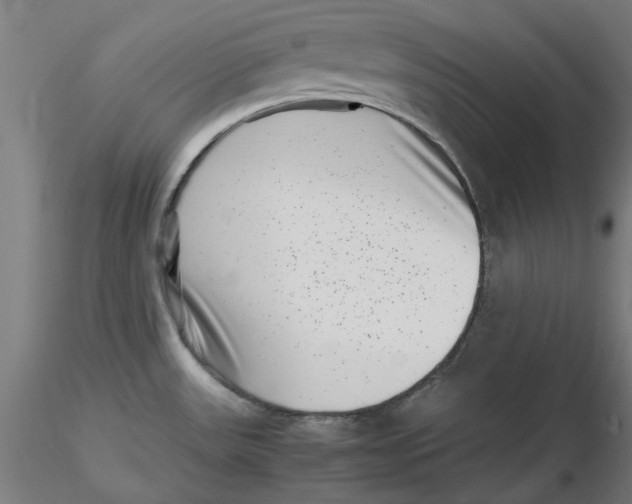 X0000116761531201001071145