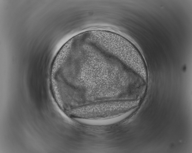 X0000116761533201001071145