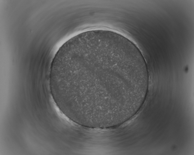 X0000116761534201001071145