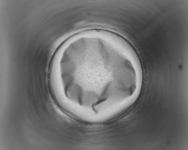 X0000116761535201001071145