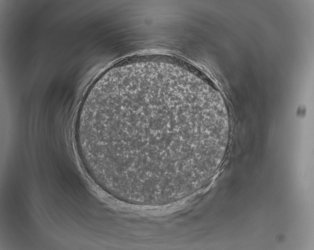 X0000116760001201001141439