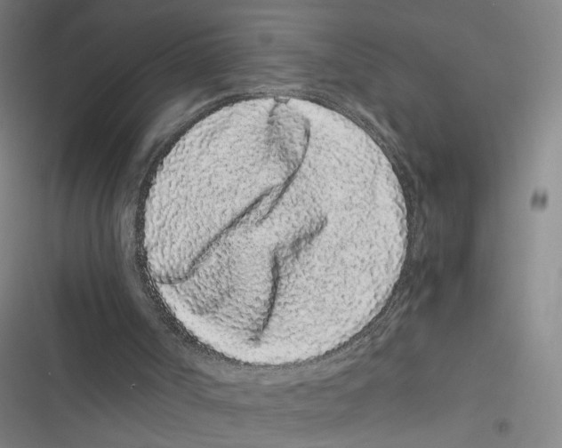 X0000116760002201001141439