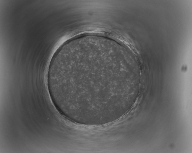 X0000116760003201001141439