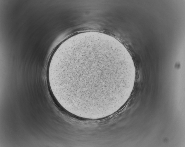 X0000116760004201001141439