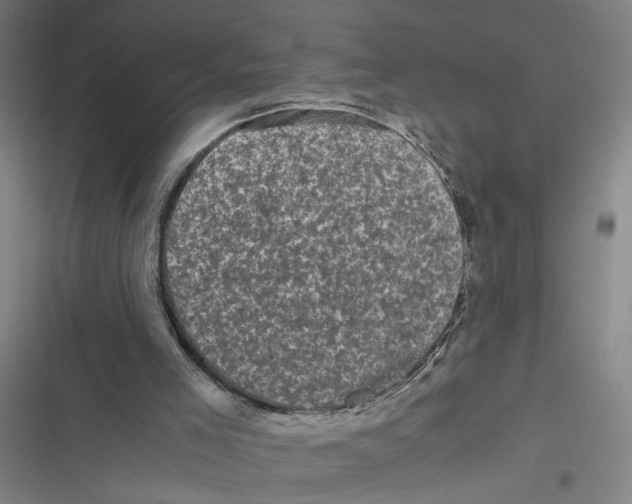 X0000116760005201001141439