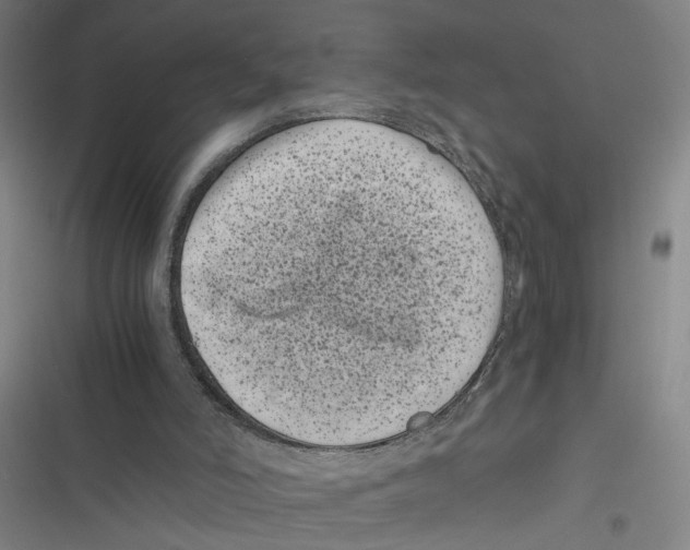 X0000116760006201001141439