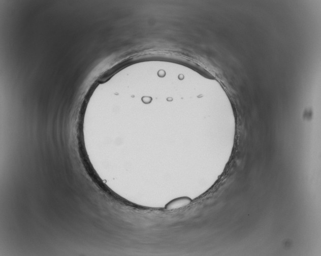 X0000116760007201001141439