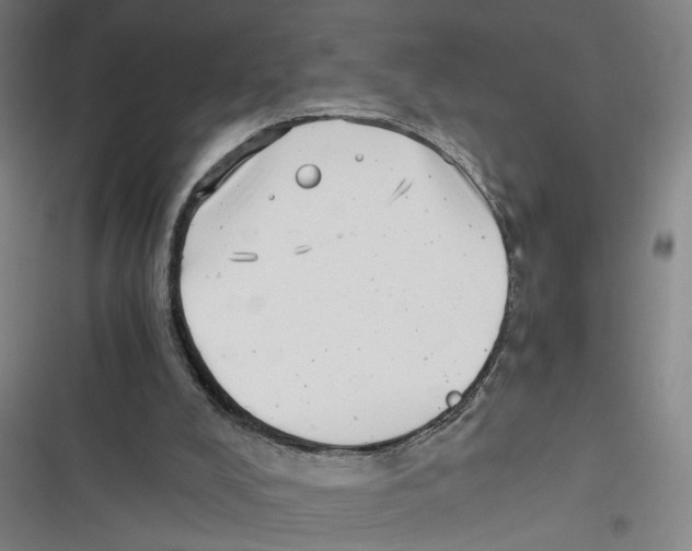 X0000116760008201001141439