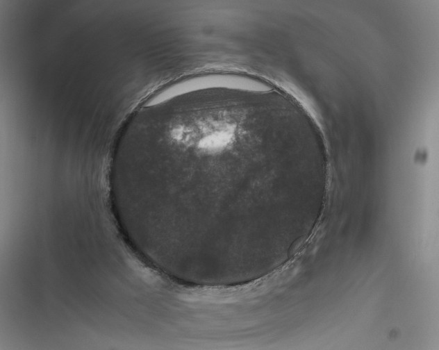 X0000116760009201001141439