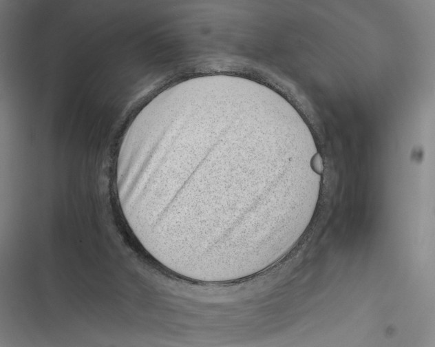 X0000116760010201001141439