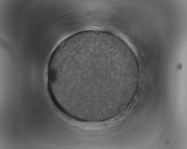 X0000116760011201001141439