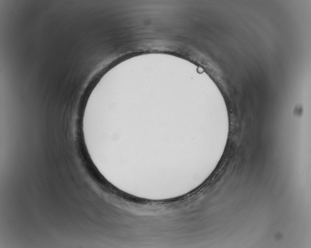 X0000116760012201001141439