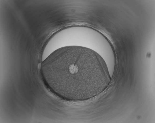 X0000116760013201001141439