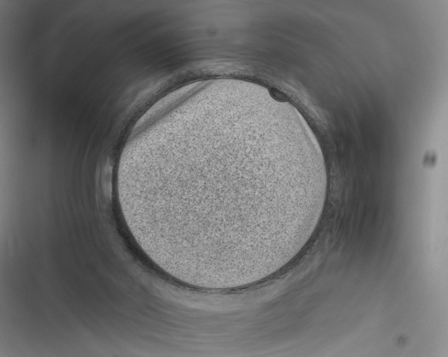 X0000116760014201001141439