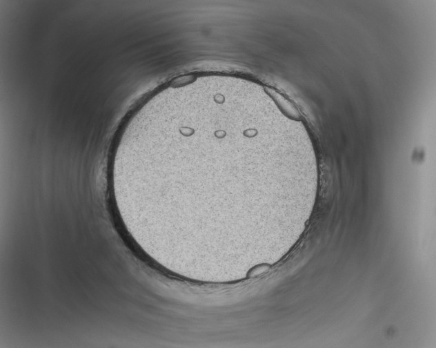 X0000116760015201001141439