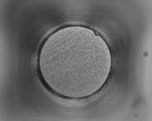 X0000116760016201001141439