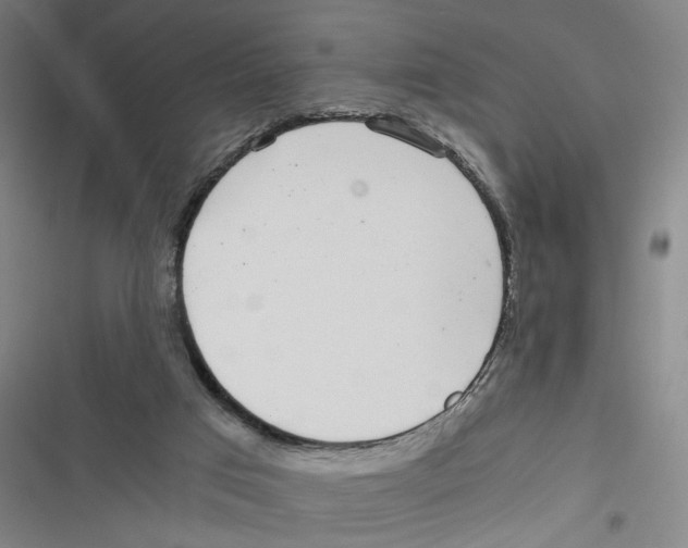 X0000116760017201001141439