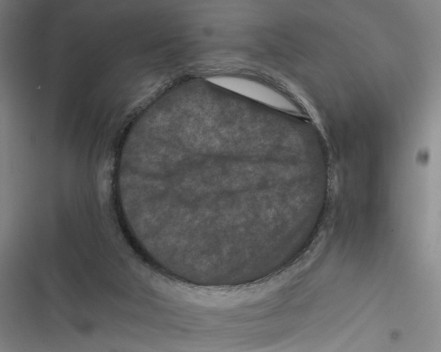 X0000116760018201001141439