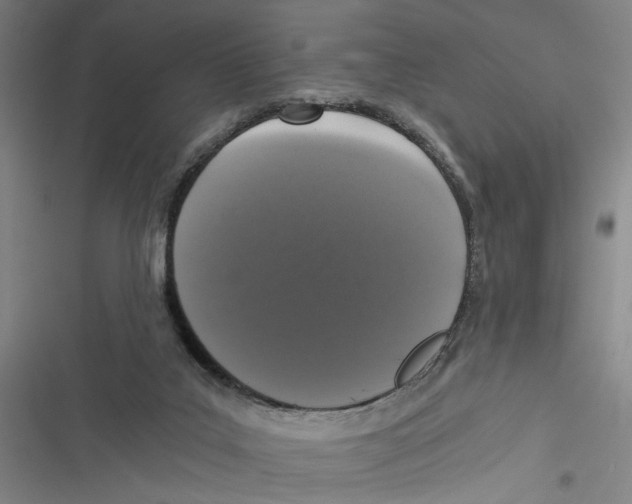 X0000116760019201001141439