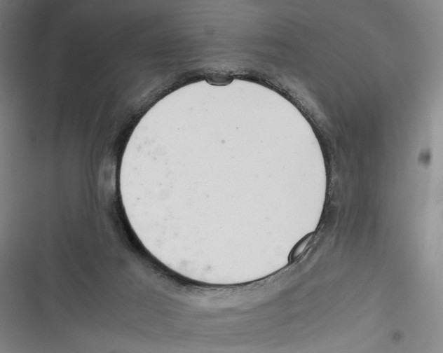 X0000116760021201001141439