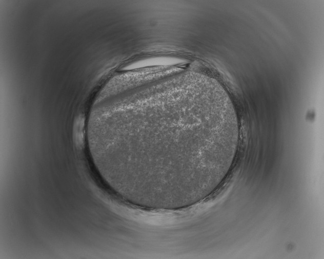 X0000116760024201001141439